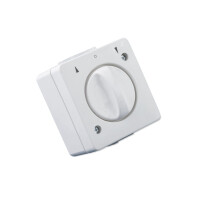 Toggle switch - surface-mounted