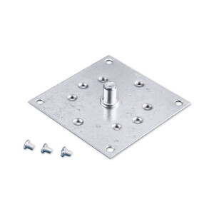 Bearing plate with 12mm pivot