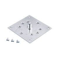 Bearing plate with 12mm pivot